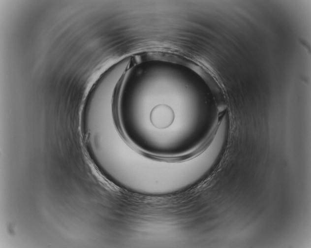 X0000099431128200805231647