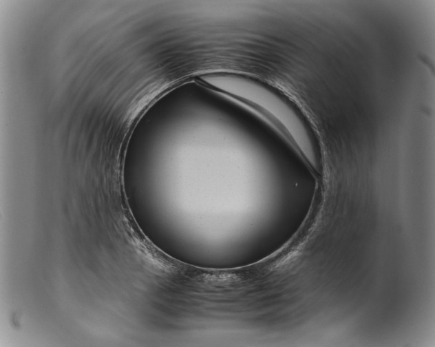 X0000099431129200805231647
