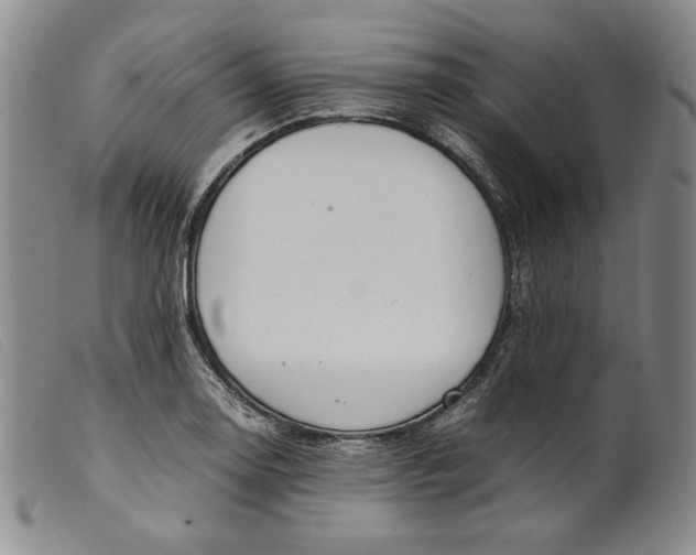 X0000099431130200805231647