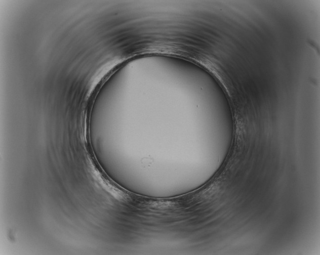 X0000099431131200805231647