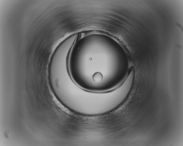 X0000099431134200805231647
