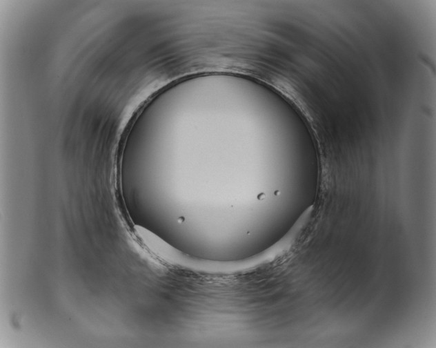 X0000099431136200805231647