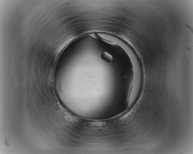 X0000099431137200805231647