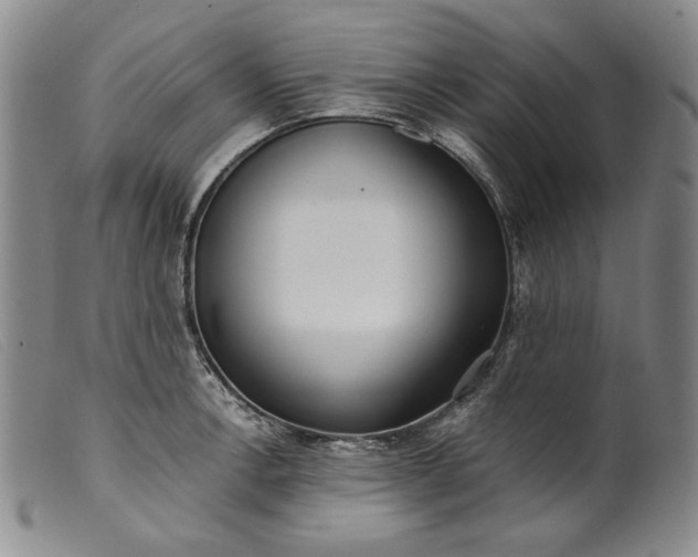 X0000099431138200805231647