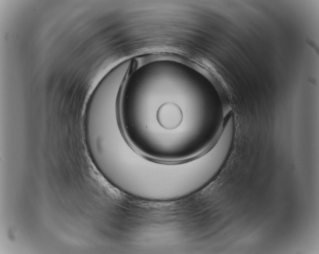 X0000099431140200805231647