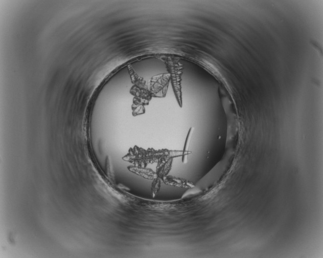 X0000099431141200805231647