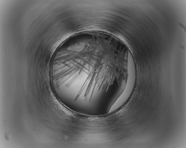 X0000099431142200805231647