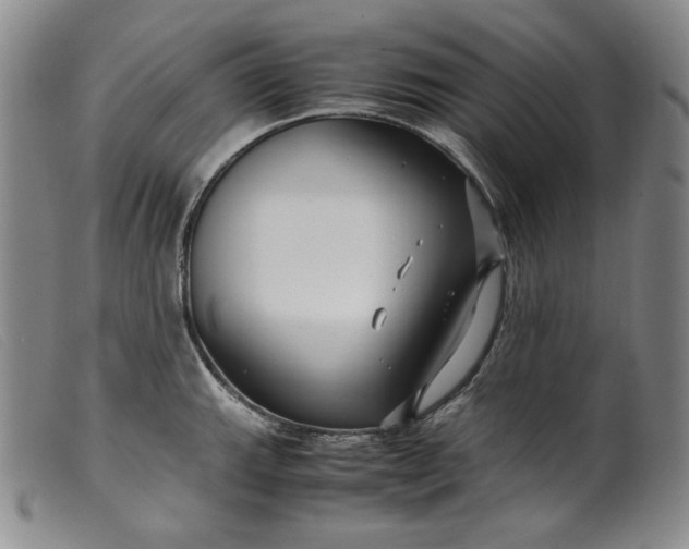 X0000099431143200805231647