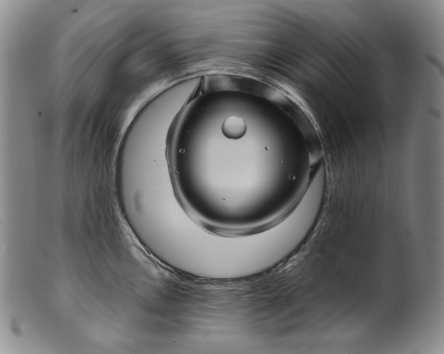 X0000099431146200805231647