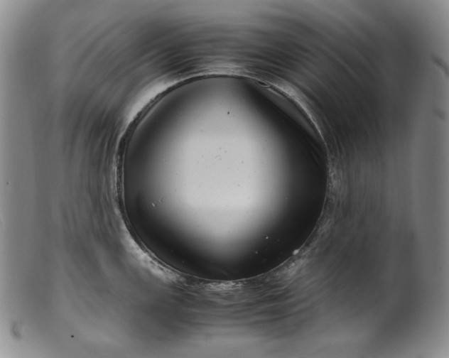X0000099431147200805231647