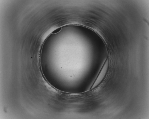 X0000099431151200805231647
