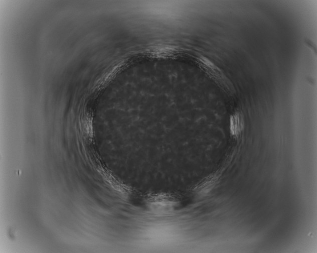 X0000099431155200805231646