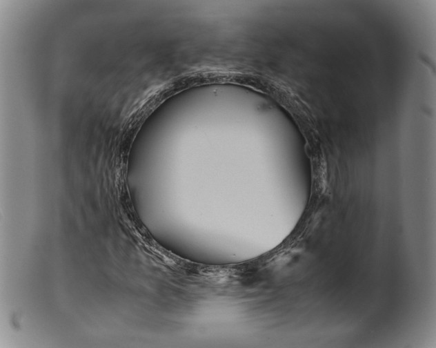 X0000099431157200805231646
