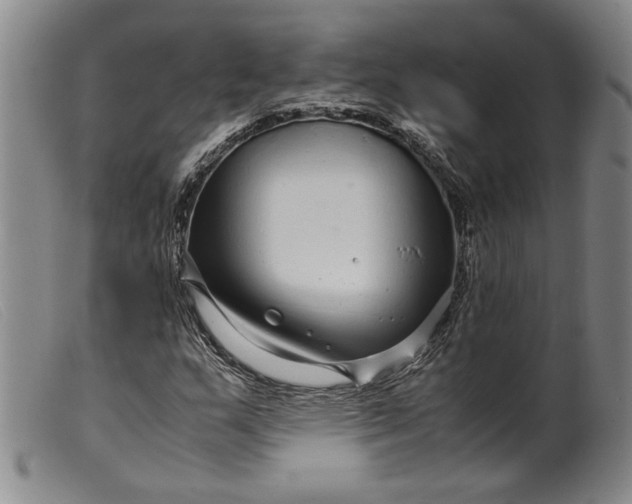 X0000099431159200805231646