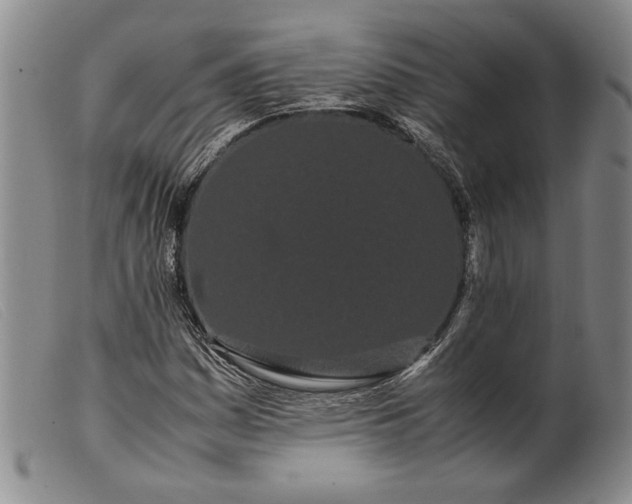 X0000099431161200805231646
