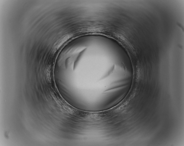 X0000099431162200805231646