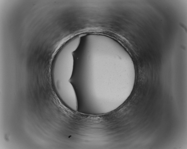X0000099431168200805231646