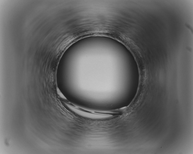 X0000099431169200805231646