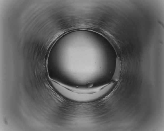 X0000099431170200805231646
