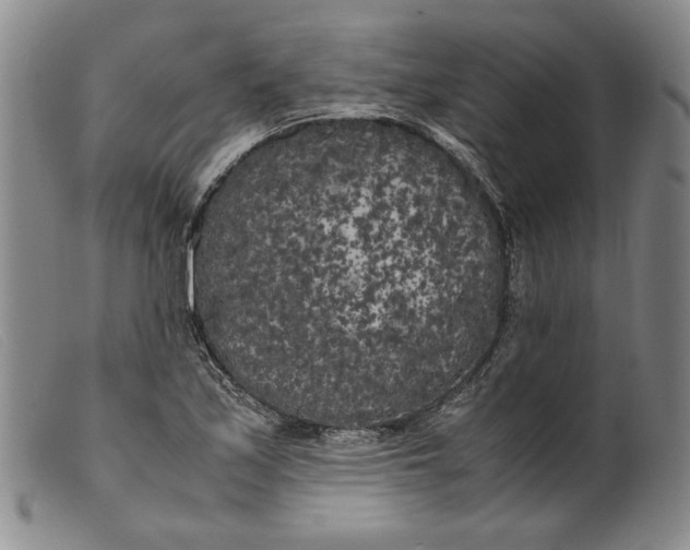 X0000099431171200805231646