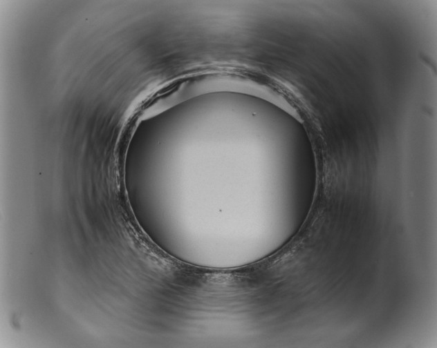 X0000099431172200805231646