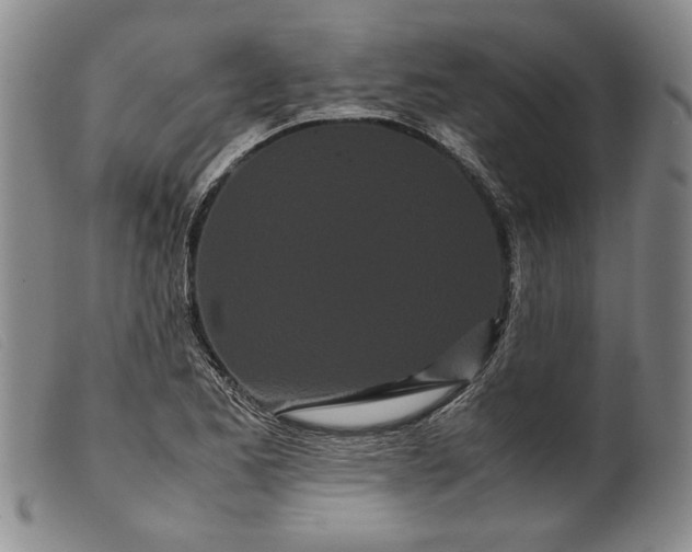 X0000099431173200805231646