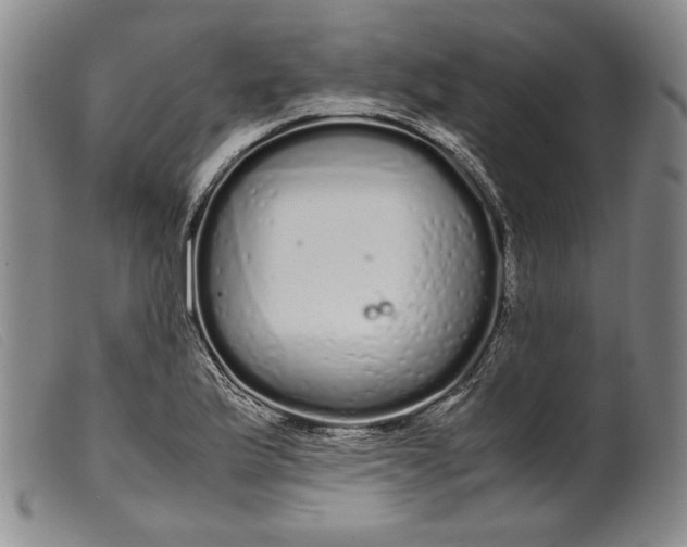 X0000099431175200805231646