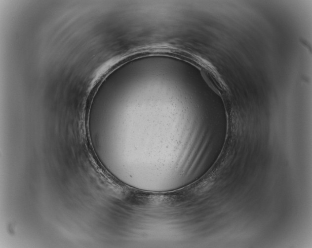 X0000099431176200805231646