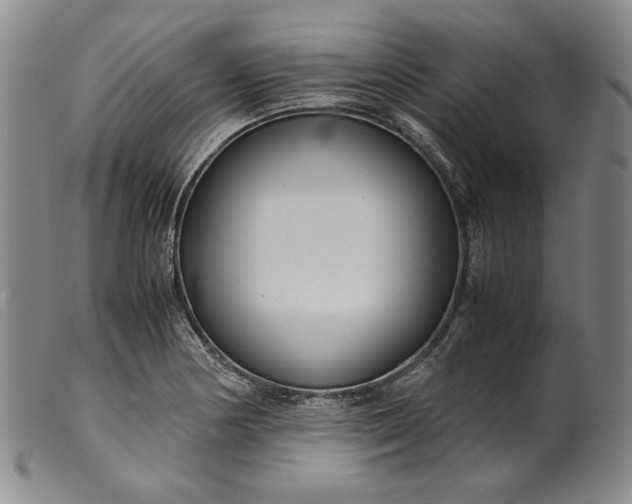 X0000099431178200805231646