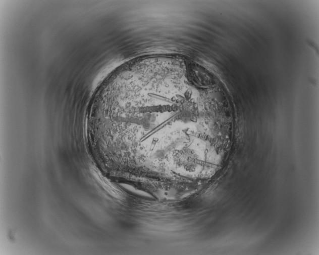 X0000099431179200805231646