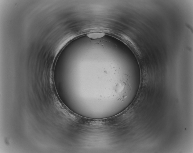 X0000099431182200805231646