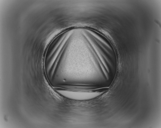 X0000099431183200805231646