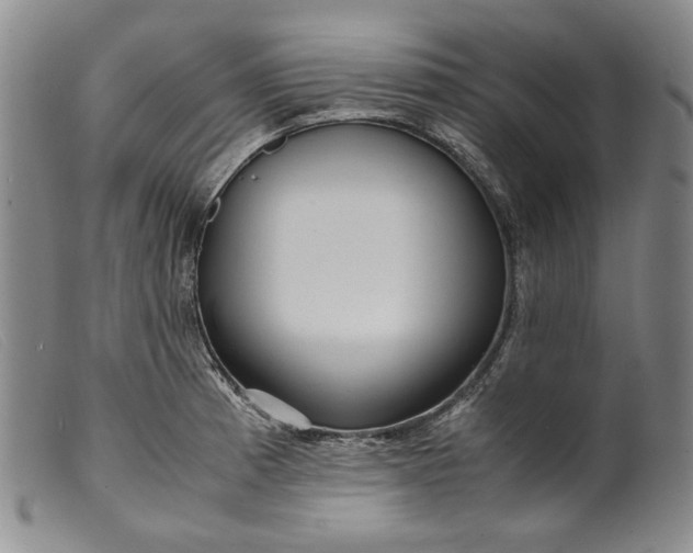 X0000099431185200805231646