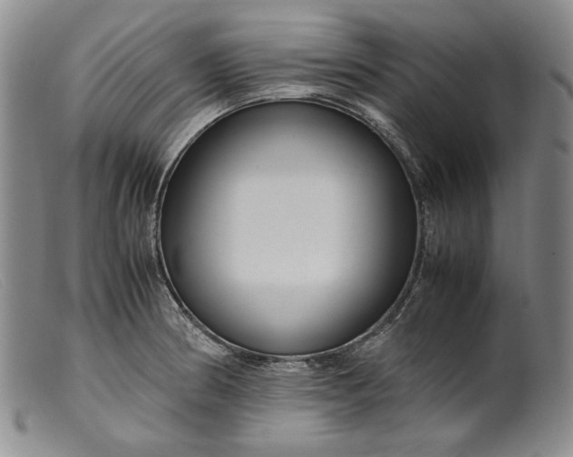 X0000099431186200805231646