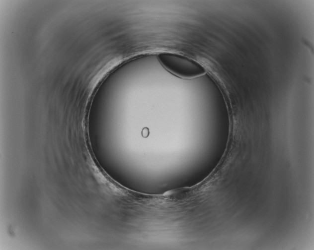 X0000099431189200805231646