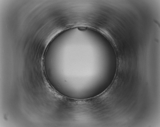 X0000099431190200805231646