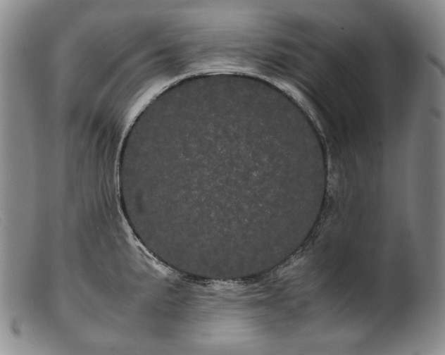 X0000099431191200805231646