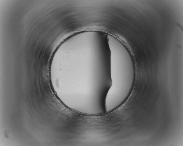 X0000099431192200805231646