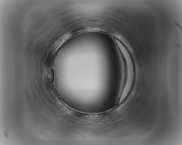 X0000099431193200805231646
