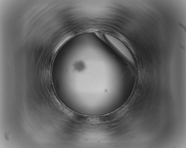 X0000099431194200805231646