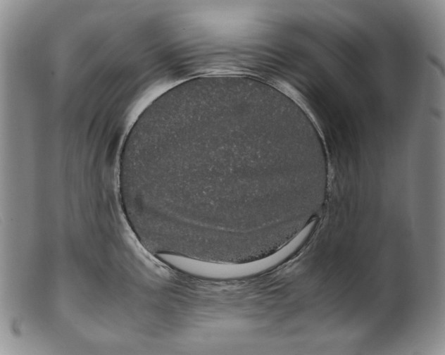 X0000099431195200805231646