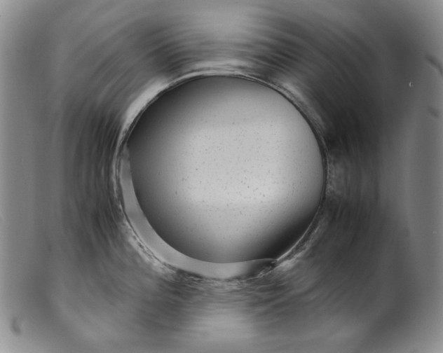 X0000099431196200805231646