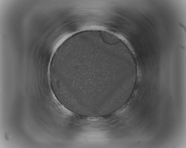 X0000099431199200805231646