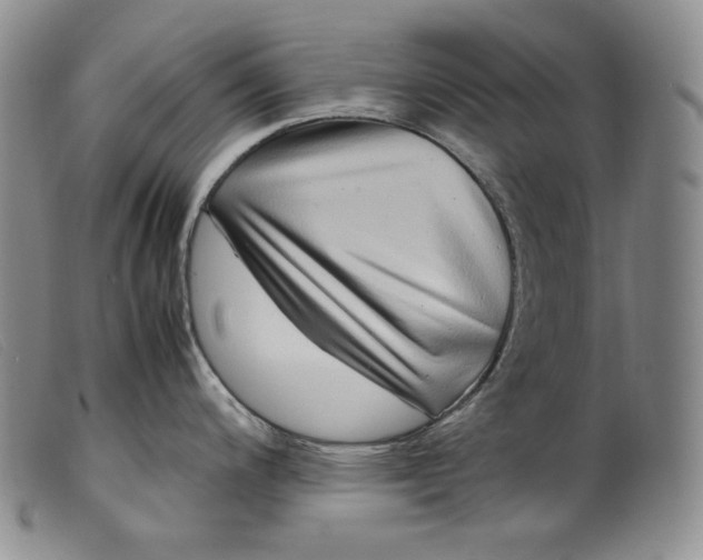 X0000099431200200805231646
