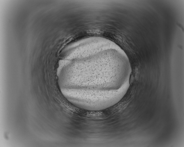 X0000099431201200805231645