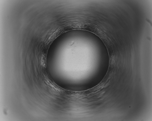 X0000099431202200805231645