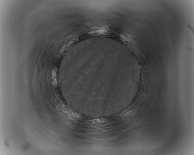 X0000099431203200805231645