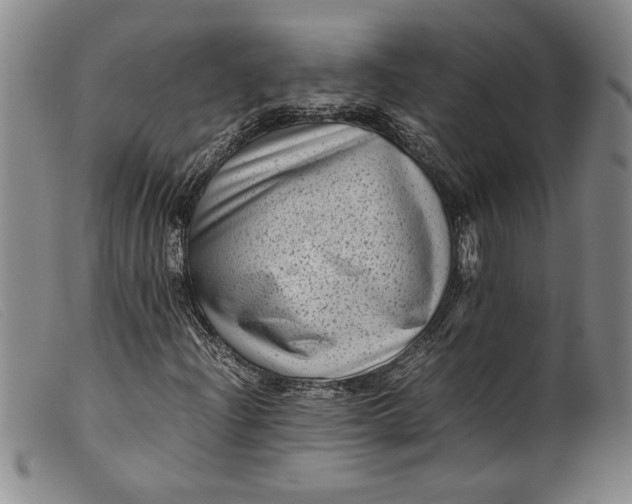 X0000099431204200805231645