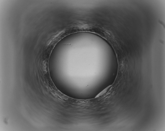 X0000099431205200805231645