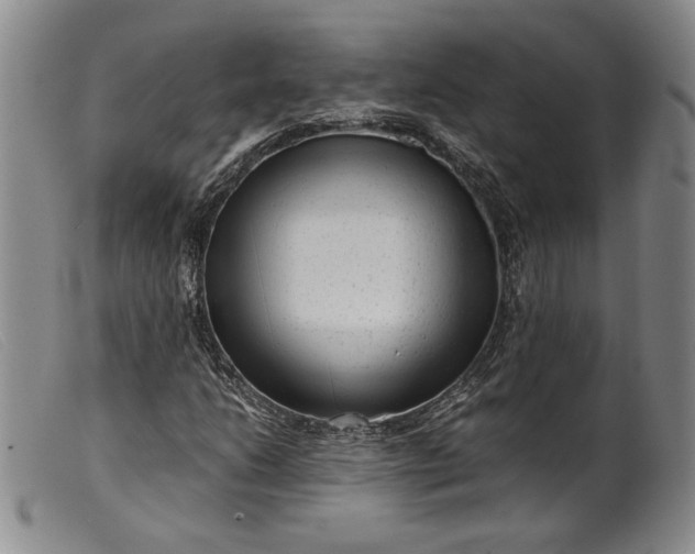 X0000099431206200805231645